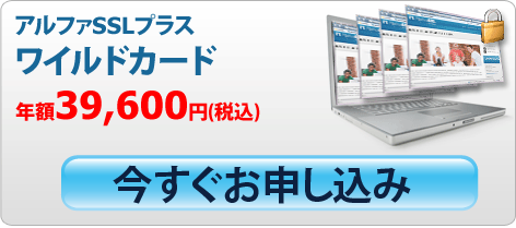 アルファSSLプラスワイルドカード今すぐお申し込み