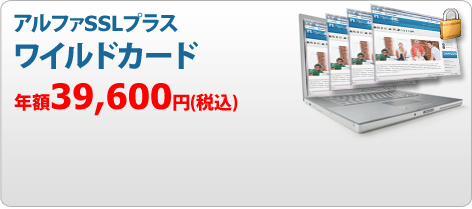 アルファSSLプラスワイルドカード