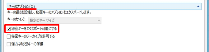 キーのオプション